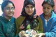 Photo of 4th Graders Study Plants in Collaboration with Pakistani Students