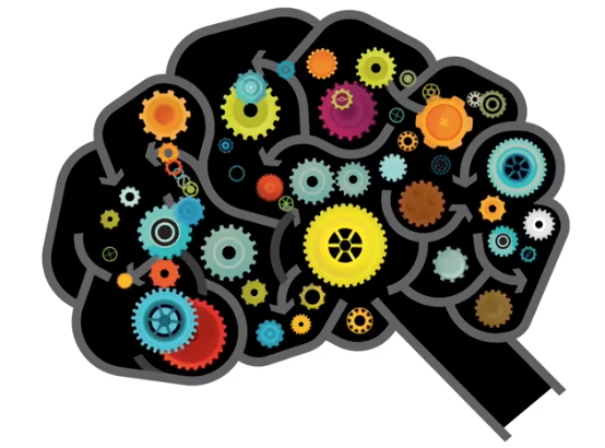 Image of a brain icon with cog and gear illustrations.