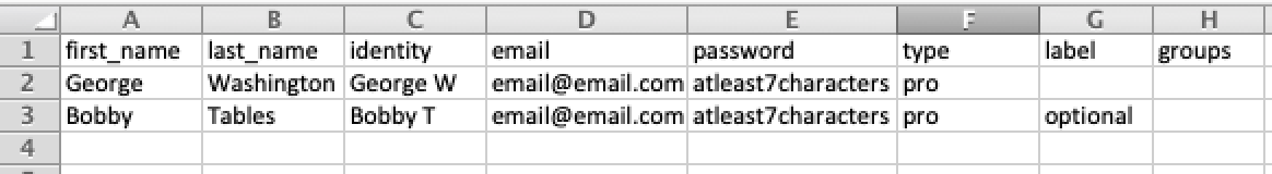 Screenshot of sample CSV file for Business Licenses