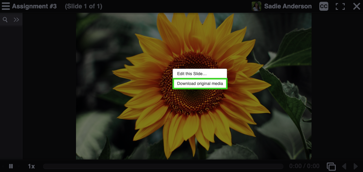 Screenshot illustrating the button to download slide media