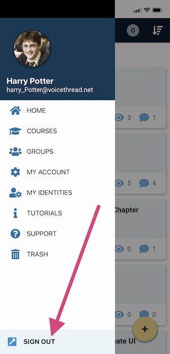Screenshot of sign-out button