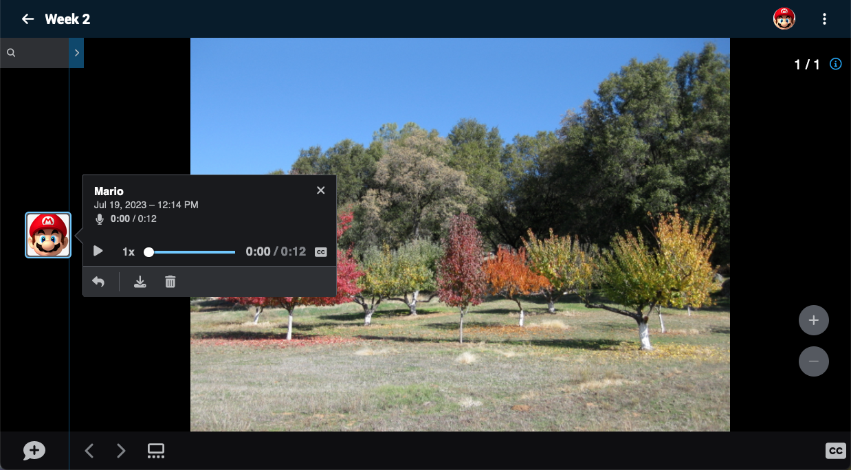 Screenshot of the new VoiceThread media player with an audio comment playing