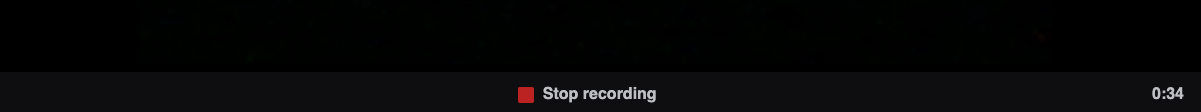 webcam_stop_recording.png