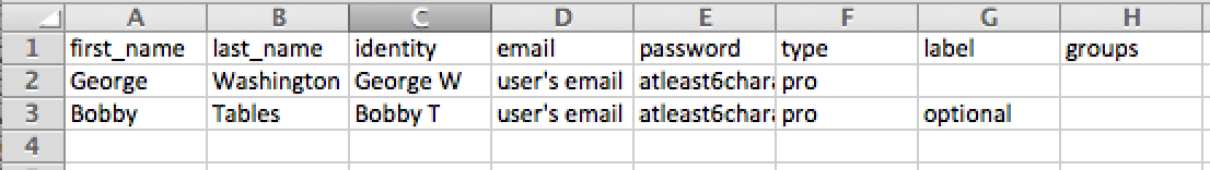 Business CSV